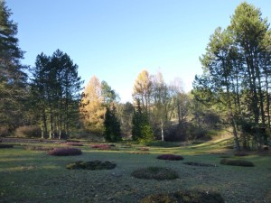 Zielonka 052_(1600_x_1200)